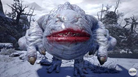 怪物猎人x白电龙怎么打[图2]