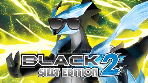 口袋妖怪黑2怎么结婚[图2]