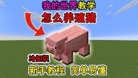 我的世界猪有什么用