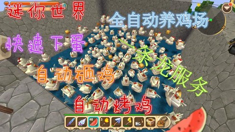 新版迷你世界怎么养鸡