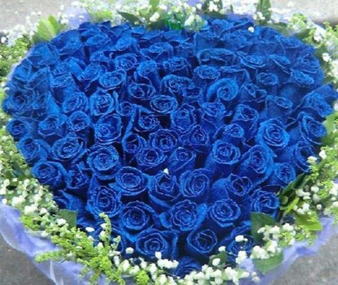 龙之谷蓝色妖姬怎么得