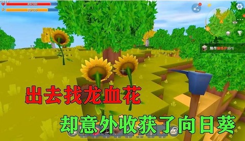 迷你世界血龙花怎么种[图2]