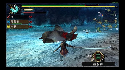 怪物猎人p3怎么把猪[图2]