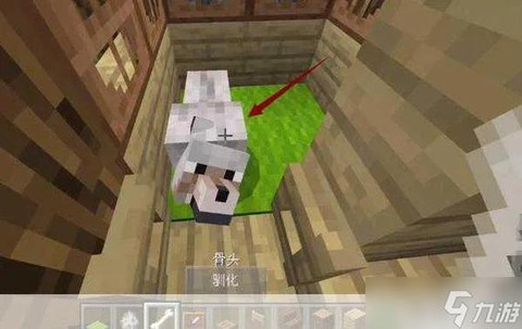 我的世界怎么喂动物[图1]