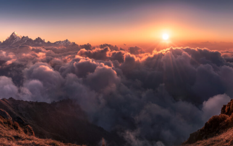 开源阅读追书[图1]