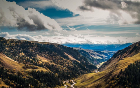 开源阅读追书[图2]