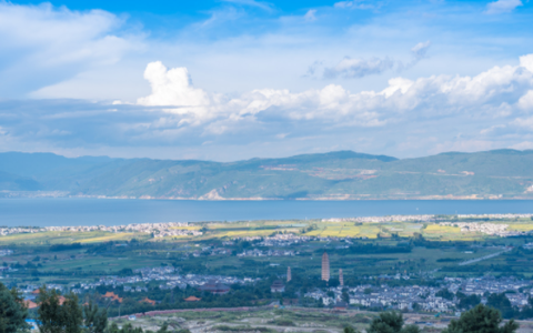 开源阅读追书图3