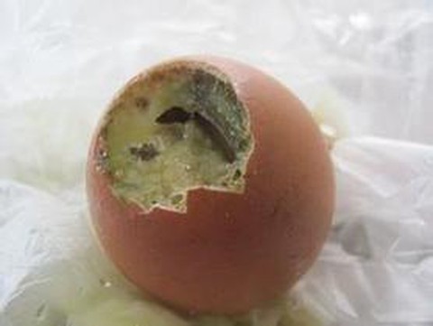 狼人杀臭鸡蛋是什么[图2]