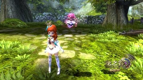 龙之谷怎么种玫瑰花