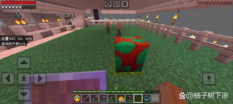 我的世界萝卜有什么用