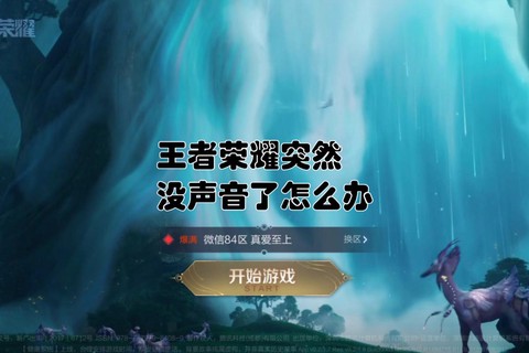 王者荣耀没声音怎么办[图2]