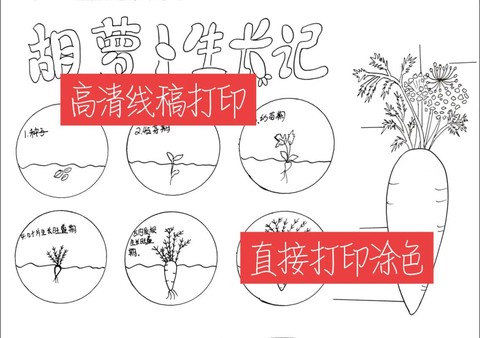 我的世界怎么种胡萝卜