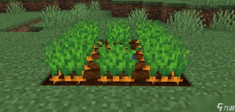 我的世界怎么种胡萝卜[图2]
