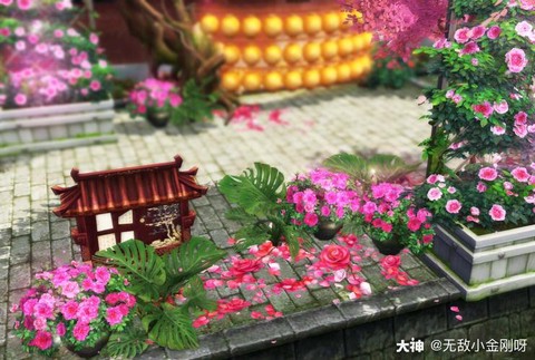 倩女幽魂什么盆栽好看[图1]