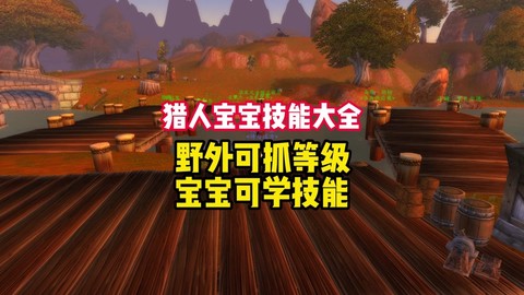 魔兽世界怎么训练宠物