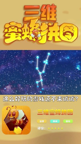 三维蜜蜂拼图图3
