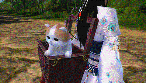 九阴真经易容包怎么用[图2]