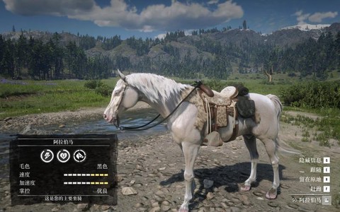 荒野大镖客2什么马大[图1]