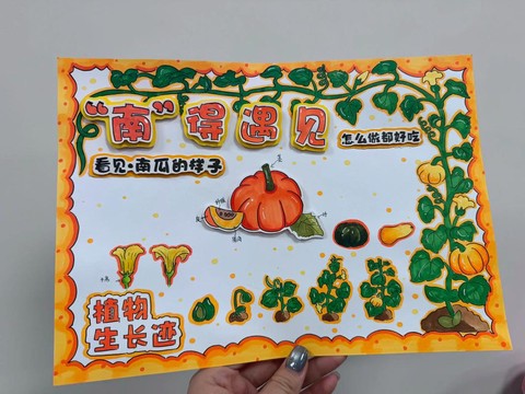 迷你世界南瓜怎么种植[图1]