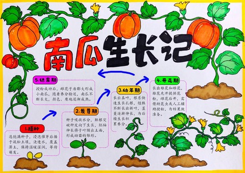 迷你世界南瓜怎么种植[图2]