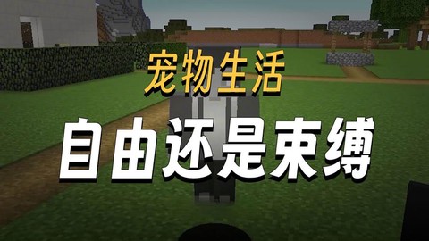 我的世界怎么养宠物