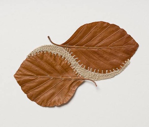 迷你世界枯叶有什么用