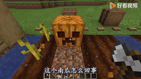 迷你世界怎么找南瓜[图2]