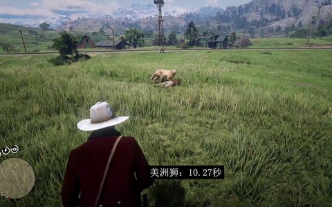 荒野大镖客如何星级