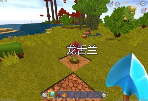 迷你世界龙舌兰怎么刷