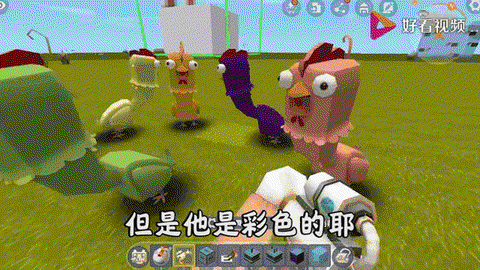 迷你世界鸡有什么用