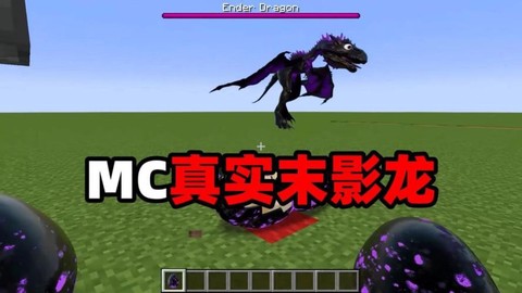 我的世界如何孵化末影龙蛋