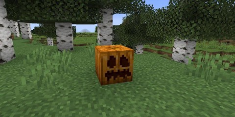 我的世界南瓜怎么收获