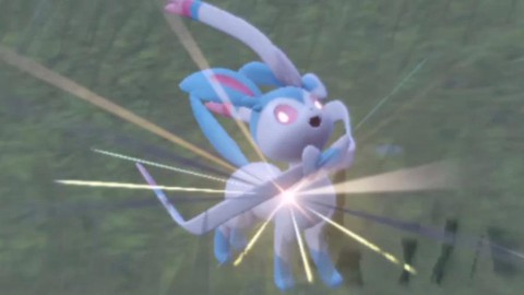 宝可梦刷闪带什么宝可梦