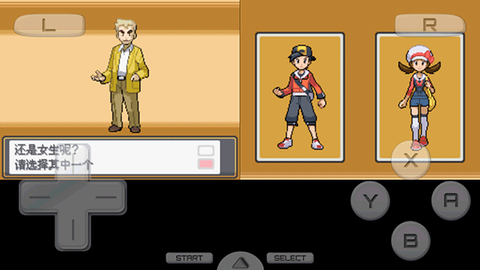 口袋妖怪起源心金金手指版[图5]