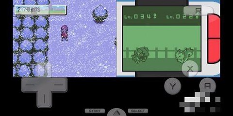 口袋妖怪起源心金金手指版[图3]