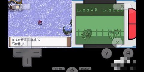 口袋妖怪起源心金金手指版[图5]