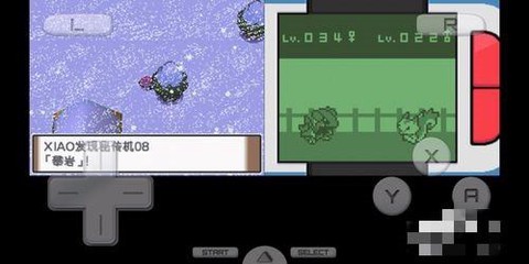 口袋妖怪起源心金金手指版[图7]