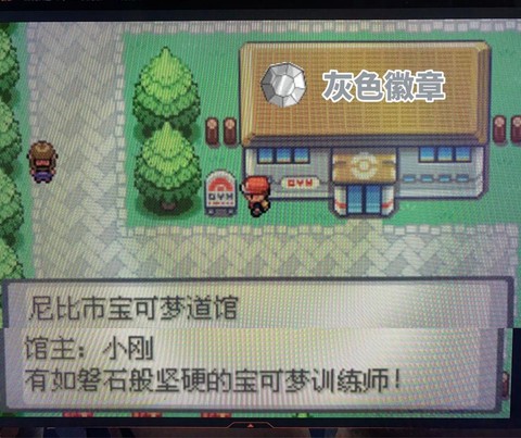 宝可梦常青道馆怎么打[图2]