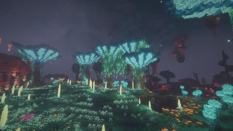 我的世界末地有什么用