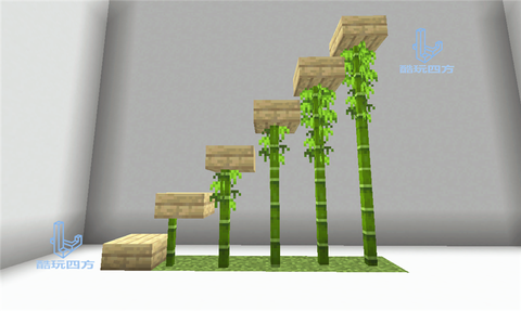 我的世界怎么种竹子