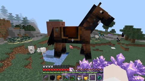 我的世界马铠有什么用[图1]