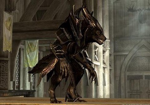 上古卷轴5狼人怎么变回来[图2]