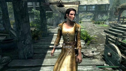 上古卷轴5怎么结婚[图2]