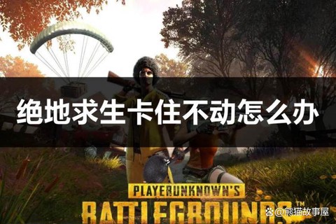 绝地求生死了怎么复活[图2]