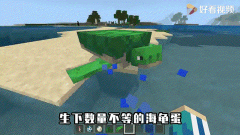 我的世界海龟蛋怎么孵化[图2]