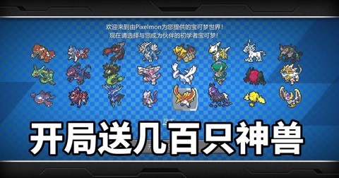 宝可梦怎么区分闪光