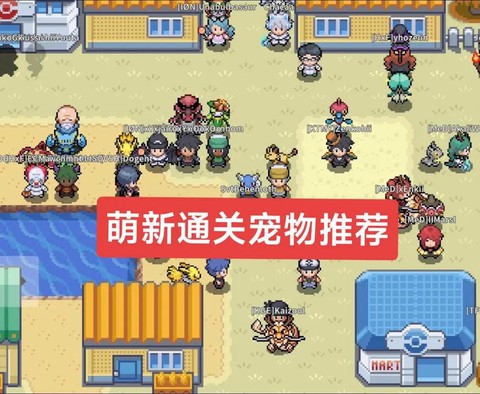 口袋妖怪练什么宠物