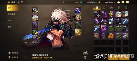 dnf瞎子是什么职业[图1]