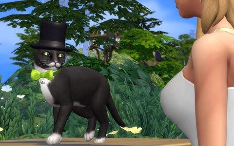 模拟人生4怎么养仓鼠