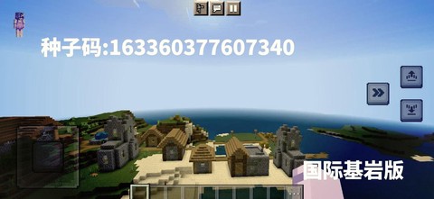 我的世界什么种子有城市[图2]